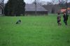 aanlegproef_31-03-12_182.jpg