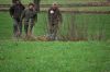 aanlegproef_31-03-12_198.jpg