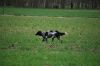aanlegproef_31-03-12_200.jpg