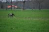 aanlegproef_31-03-12_210.jpg