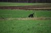aanlegproef_31-03-12_225.jpg