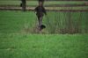 aanlegproef_31-03-12_231.jpg