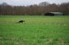aanlegproef_31-03-12_238.jpg