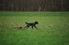 aanlegproef_31-03-12_240.jpg