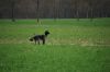aanlegproef_31-03-12_243.jpg