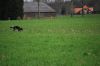 aanlegproef_31-03-12_246.jpg