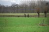 aanlegproef_31-03-12_253.jpg