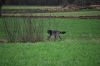 aanlegproef_31-03-12_259.jpg
