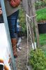 aanlegproef_31-03-12_382.jpg