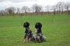aanlegproef_31-03-12_400.jpg