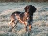 athos_en_kenna_november2011_154.JPG