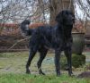casper_vd_Lobbery_11_jan_2012.JPG