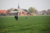 foto_s_veldwerk_hoofdplaat_017.JPG