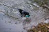 jachttrainingwater_055.jpg