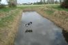 kinderen,_hond,_kleding_winter_2009_010.JPG