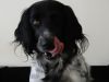 lieke_3-3-2011-3.JPG