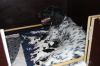 pups_24-09-2010_087.jpg