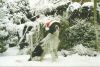 scannen0002~0.jpg