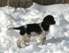 uhry_2013-01-20_sneeuw01~0.jpeg