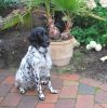 vakantie_centerparks_30-08-2010_005.jpg