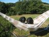 zomer_celzy_09_023.jpg
